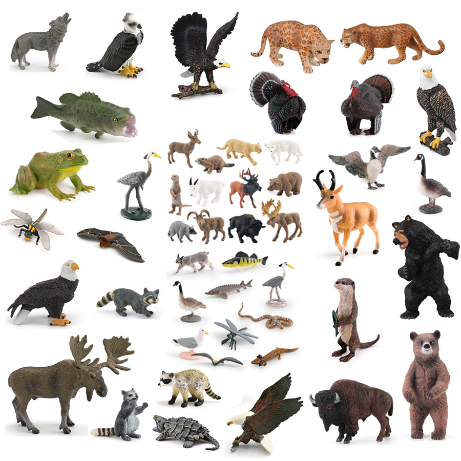 Kids Toys China - Realistic North American Animals Turkey Bald