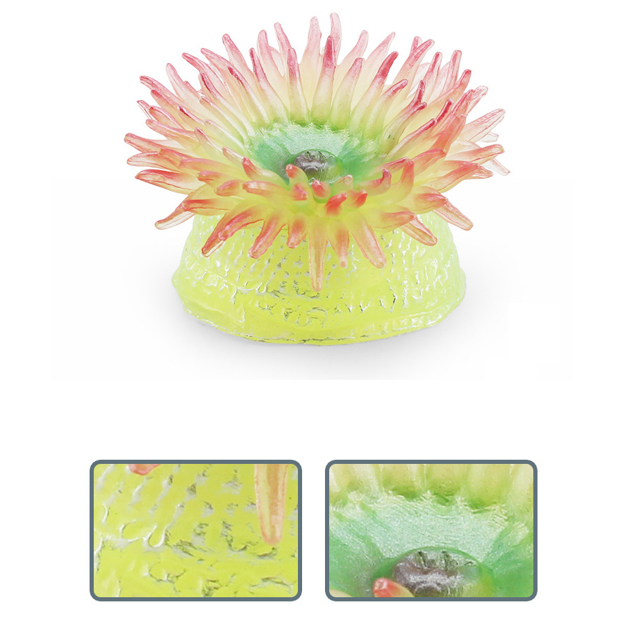 Realistic Coral Sea Anemones S - огляд і ціна Kids Toys China