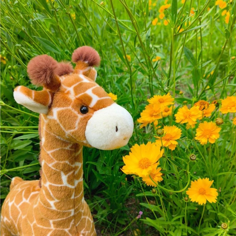 Very Soft Giraffe Plush Toy Fo - огляд і ціна Kids Toys Very