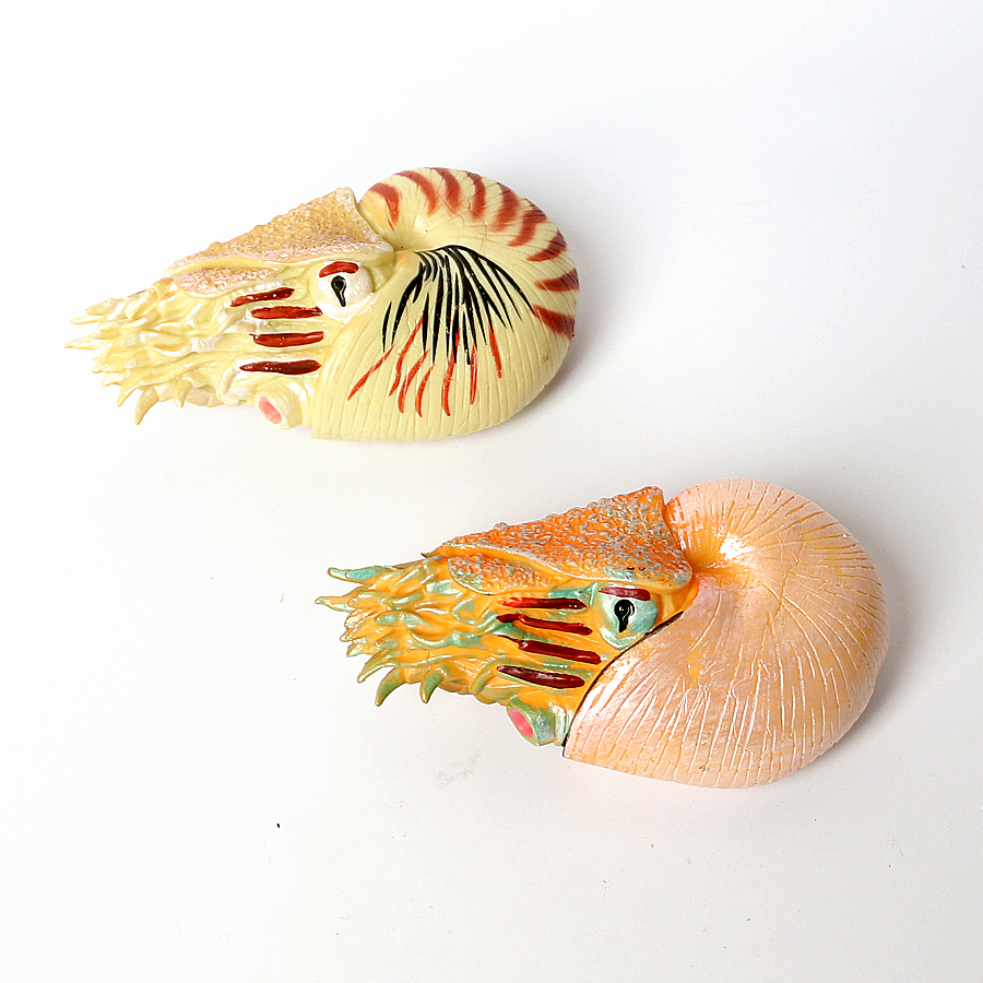 Plastic Prehistoric Sea Creatu - огляд і ціна Kids Toys China